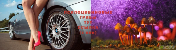 меф Пестово