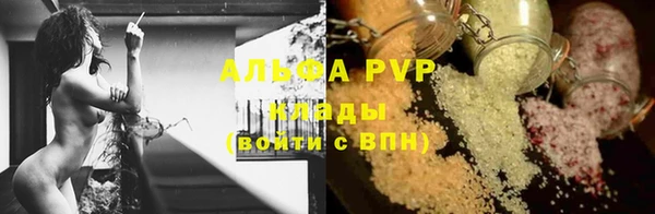 ГАЛЛЮЦИНОГЕННЫЕ ГРИБЫ Переславль-Залесский