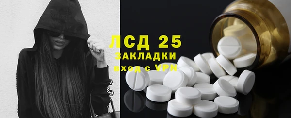 ГАЛЛЮЦИНОГЕННЫЕ ГРИБЫ Переславль-Залесский