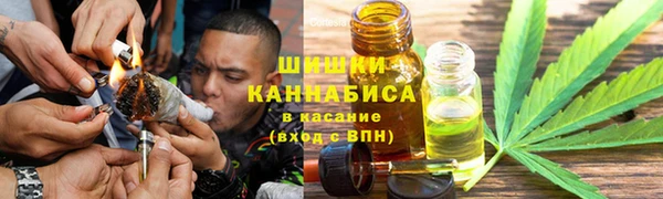 ГАЛЛЮЦИНОГЕННЫЕ ГРИБЫ Переславль-Залесский