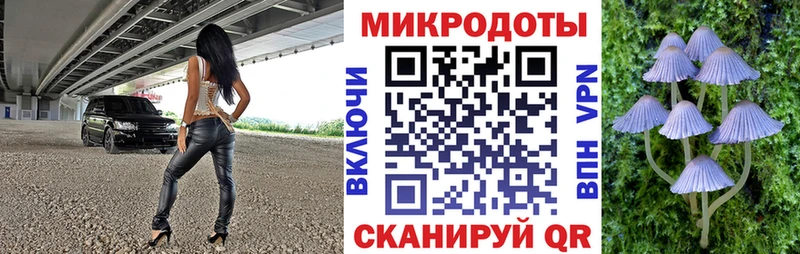 блэк спрут tor  Стрежевой  Галлюциногенные грибы Psilocybine cubensis 