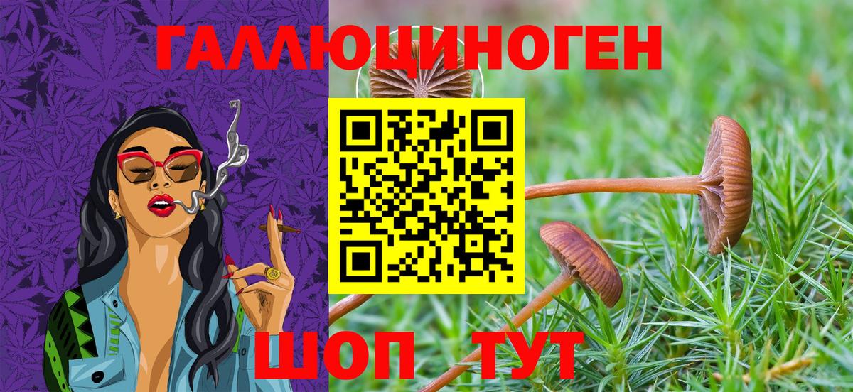 Галлюциногенные грибы GOLDEN TEACHER  Вход с VPN  Галлюциногенные грибы Cubensis  Стрежевой 